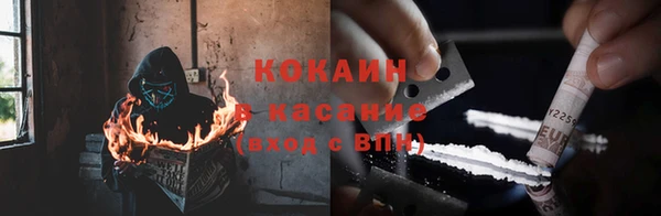 кокс Вяземский