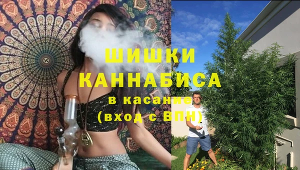 соль ск Медногорск