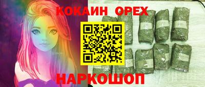 гидра Новозыбков