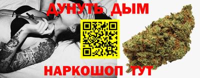 гидра Новозыбков