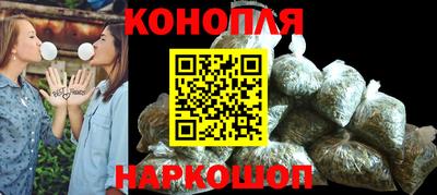 гидра Новозыбков