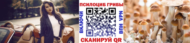 где можно купить   мориарти какой сайт  Псилоцибиновые грибы MAGIC MUSHROOMS  Мончегорск 