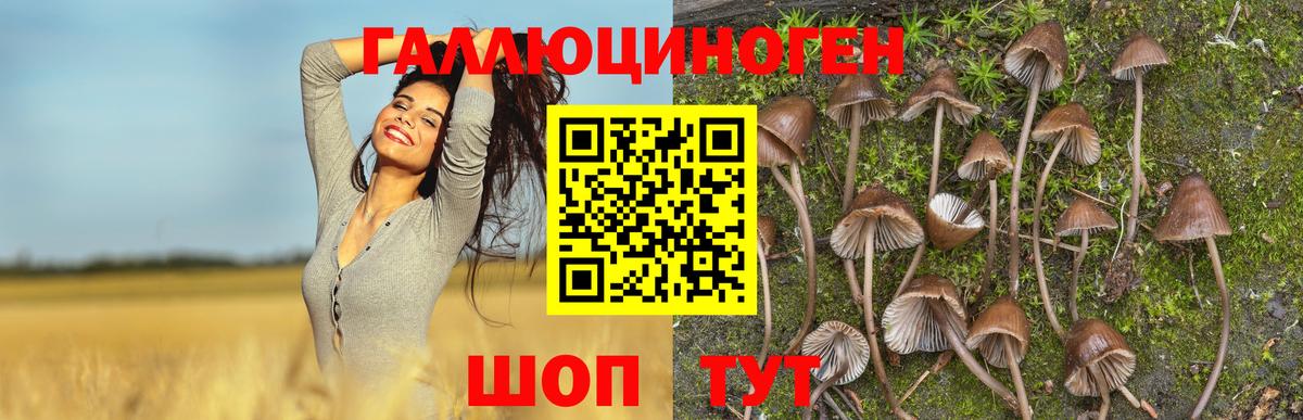 Псилоцибиновые грибы ЛСД  Псилоцибиновые грибы мухоморы  Мончегорск  Вход с VPN 